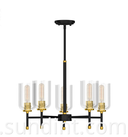 Zdh 4682 5 Indoor Ceiling Lamp Chandelier